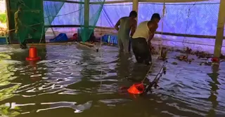ফেনীতে বন্যায় ১০০ কোটি টাকার ক্ষতি; সমাধানের আশ্বাসেই সীমাবদ্ধ প্রশাসন